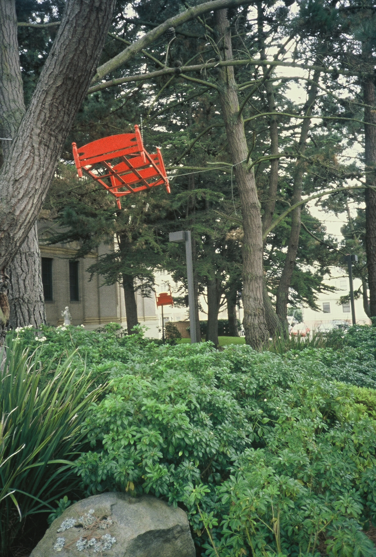 Red twin bed suspended in a tall cypress tree