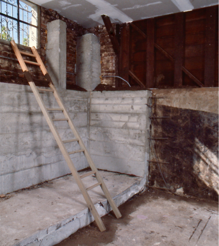Ladder leans toward a window above the basement walls