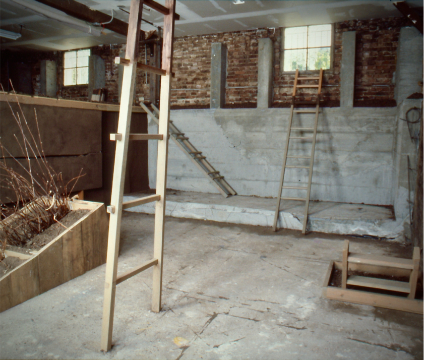 Basement room with ladders reaching to the ceiling, out a window and below the floor.