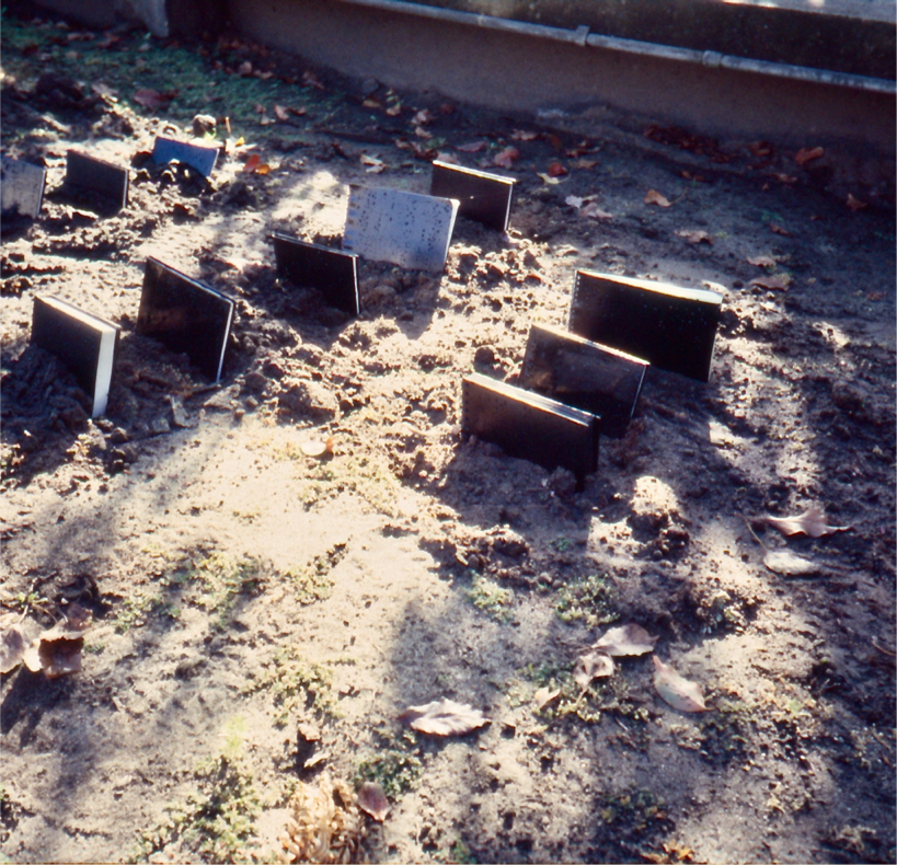 Eleven journals were buried in the dirt in the museum gardens.