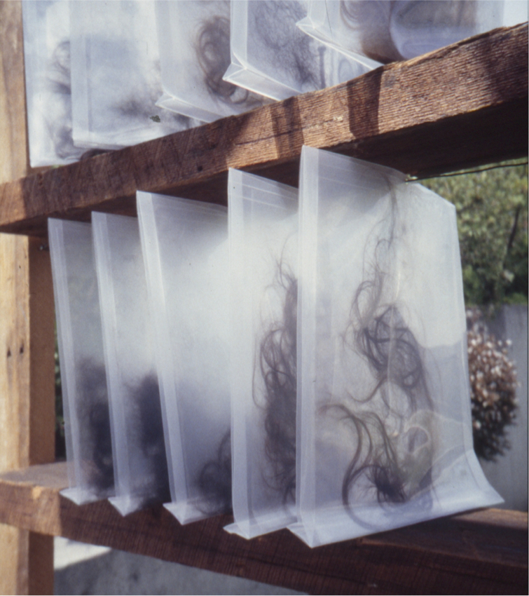 Clear envelopes filled with hair