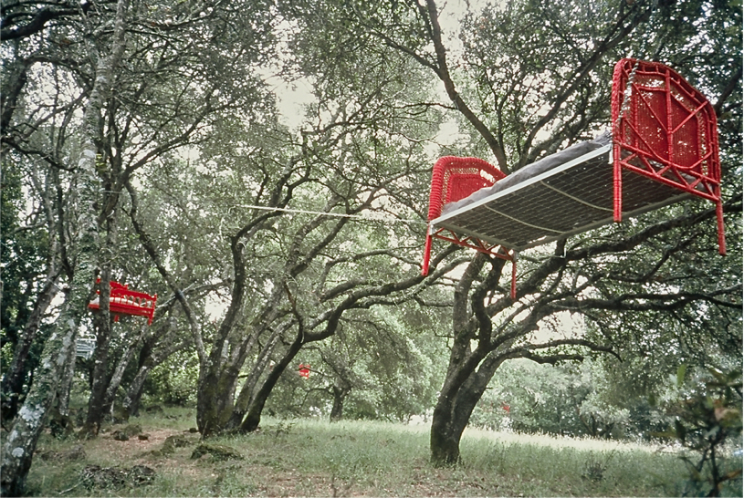 red beds suspended between oak trees