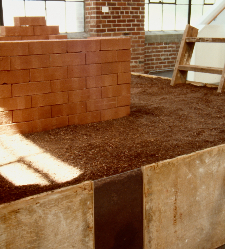 Detail: dirt bed with brick well and small ladder.